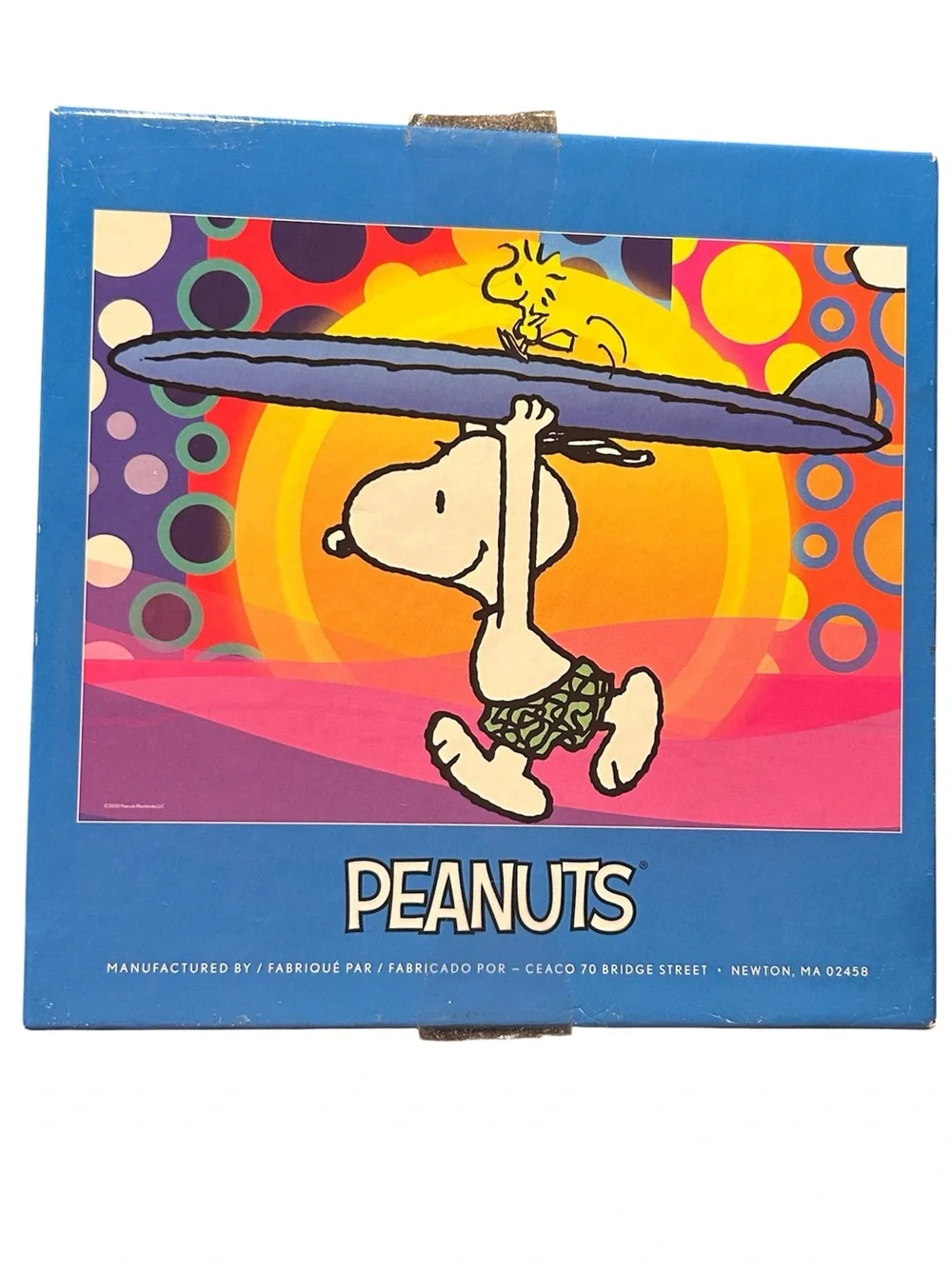 Ceaco Peanuts Surf City Jigsaw Puzzle 100 Pc Snoopy Woodstock Complete 15x11
